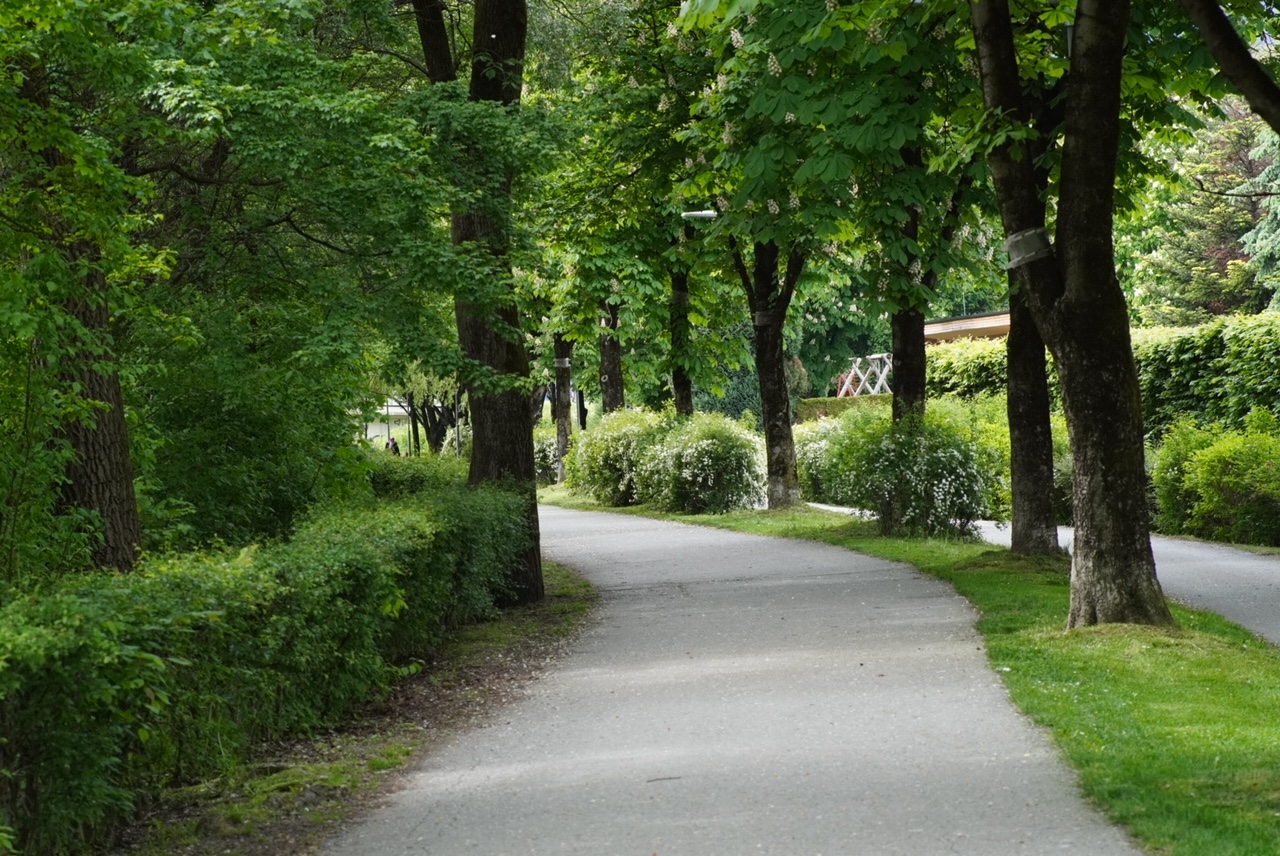 VItalweg Innsbruck