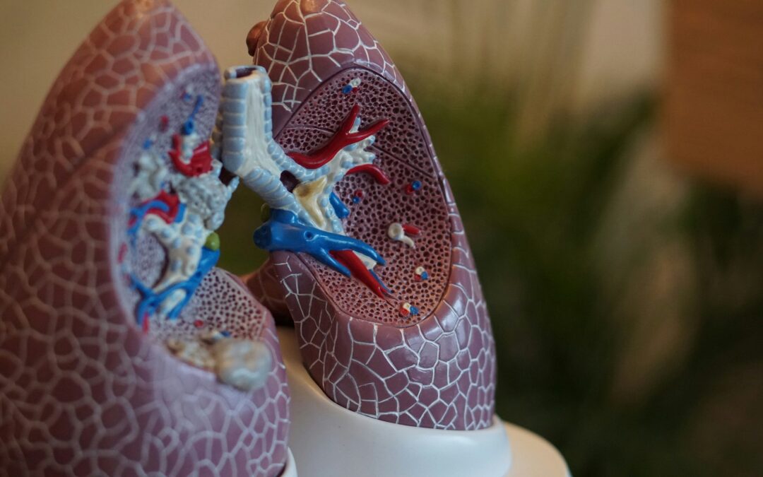 Hochkarätige Veranstaltung an der Pneumologie Natters